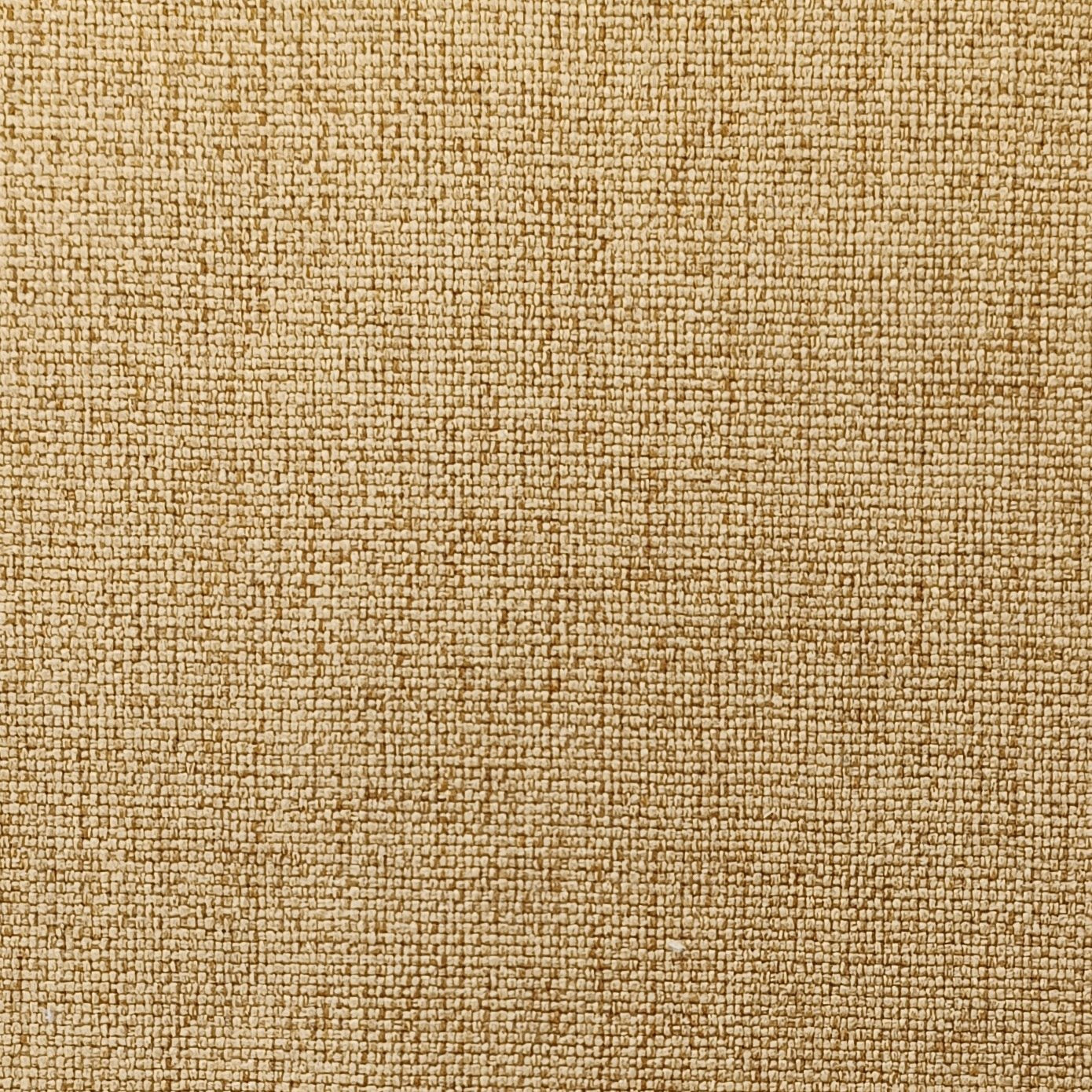 Miki Fabric Swatch Doughnut