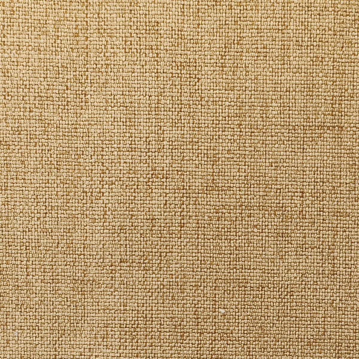Miki Fabric Swatch Doughnut